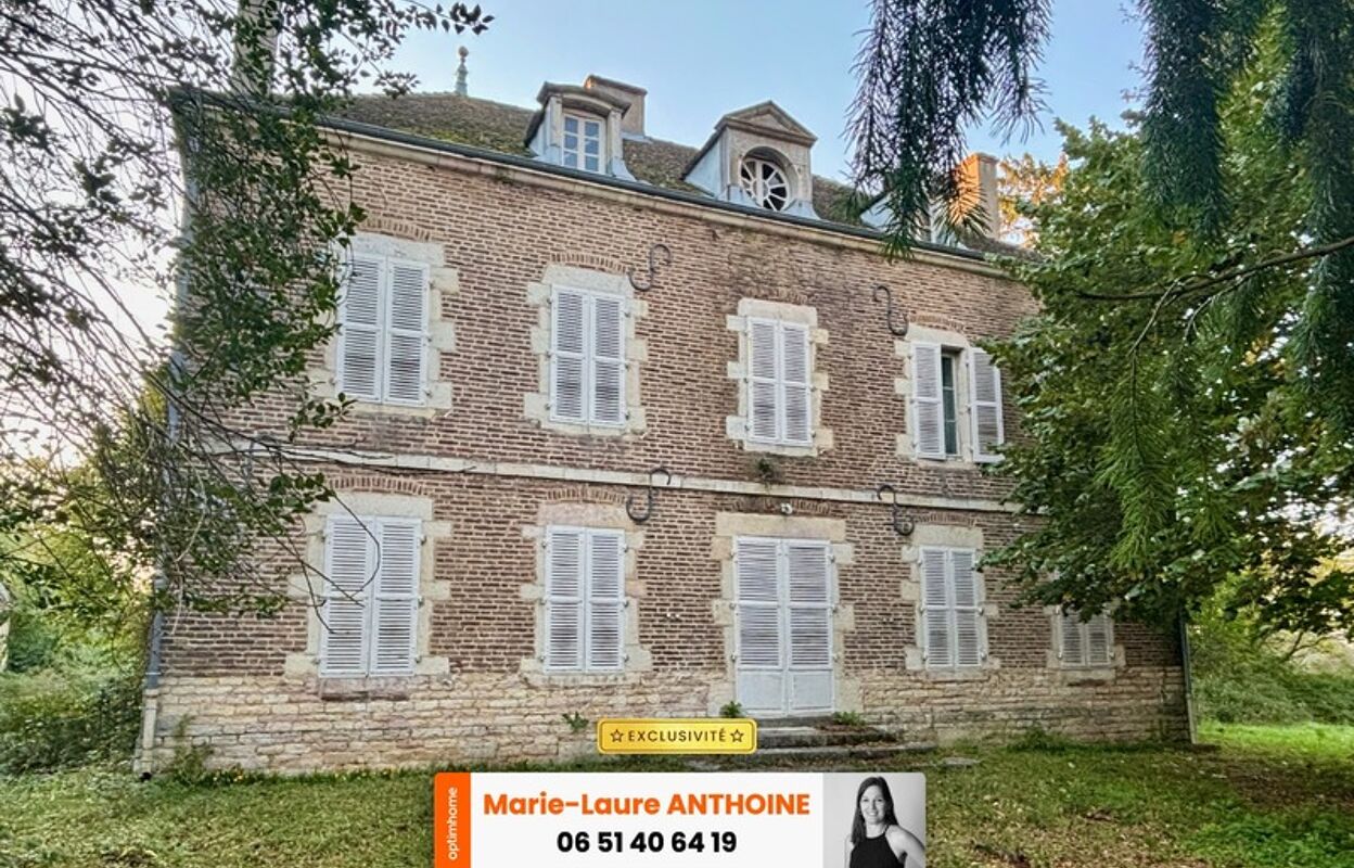 maison 8 pièces 450 m2 à vendre à Pierre-de-Bresse (71270)