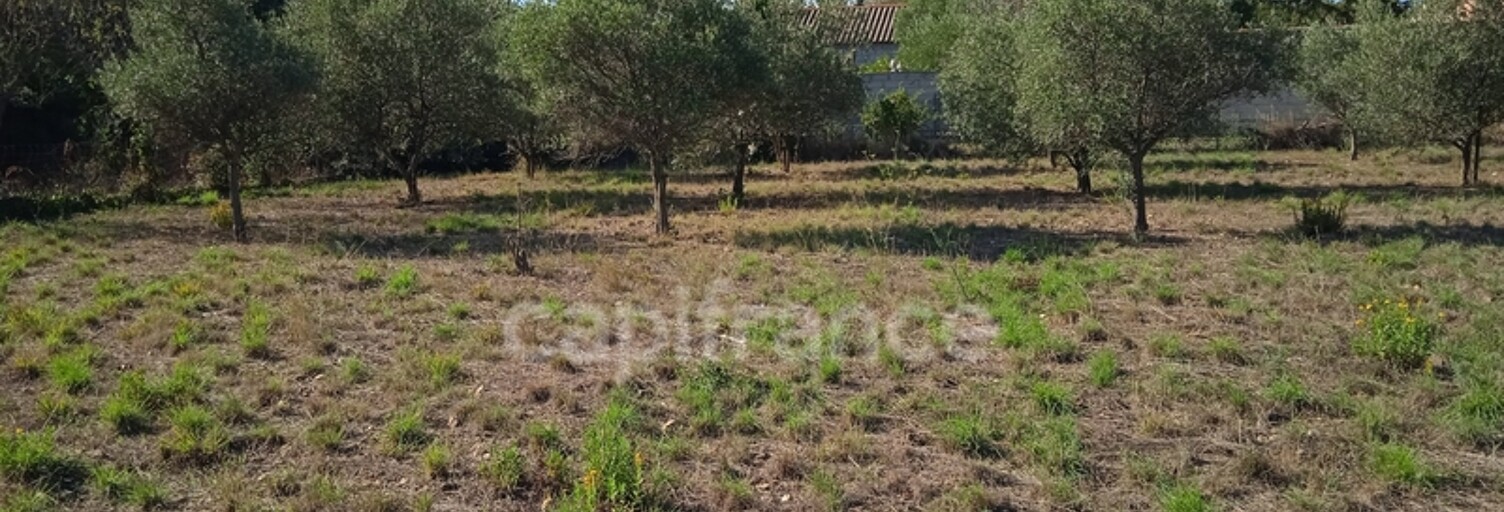 Terrain  2310 m² à vendre à Azille (11700)