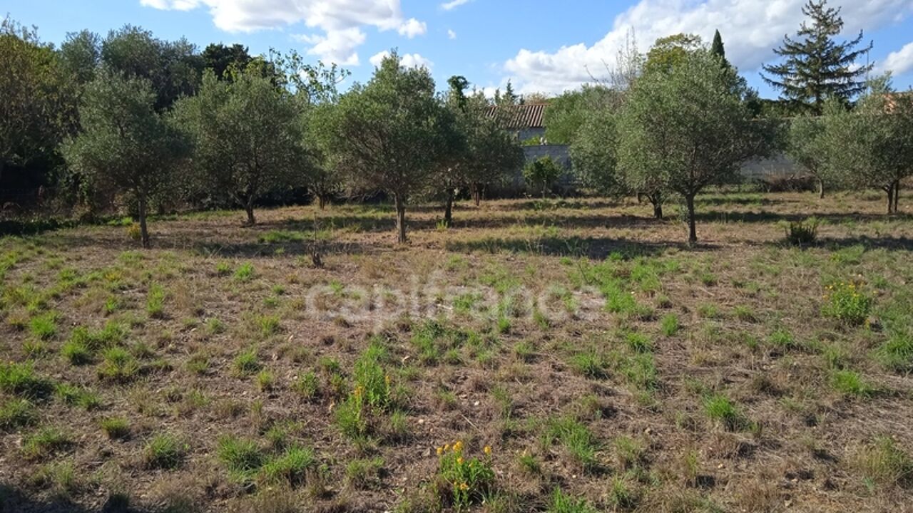 terrain  pièces 2310 m2 à vendre à Azille (11700)