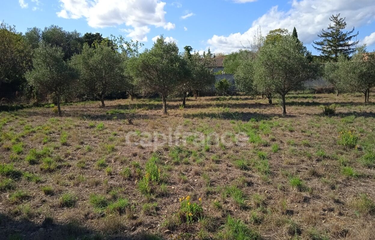 terrain  pièces 2310 m2 à vendre à Azille (11700)