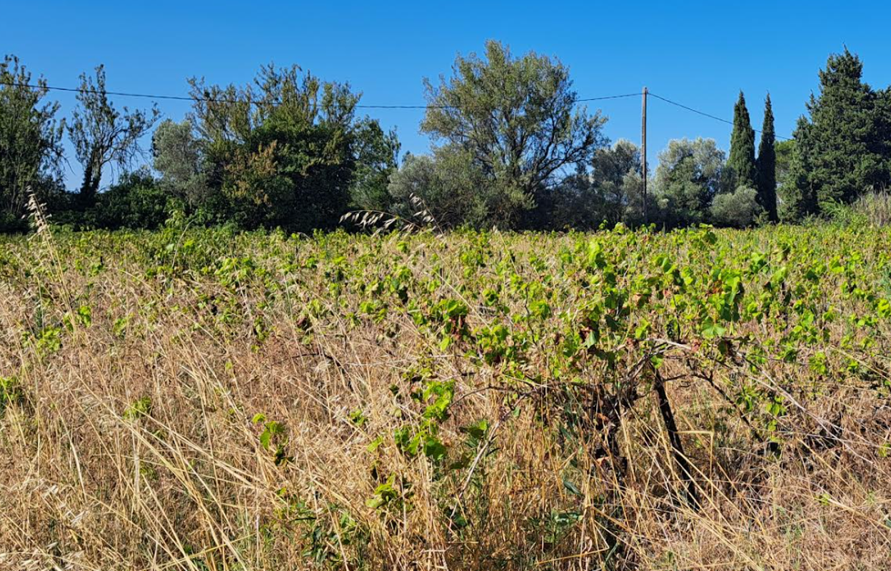 terrain  pièces 1578 m2 à vendre à Sarrians (84260)