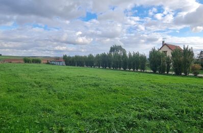 terrain  pièces 1389 m2 à vendre à Marolles-sous-Lignières (10130)