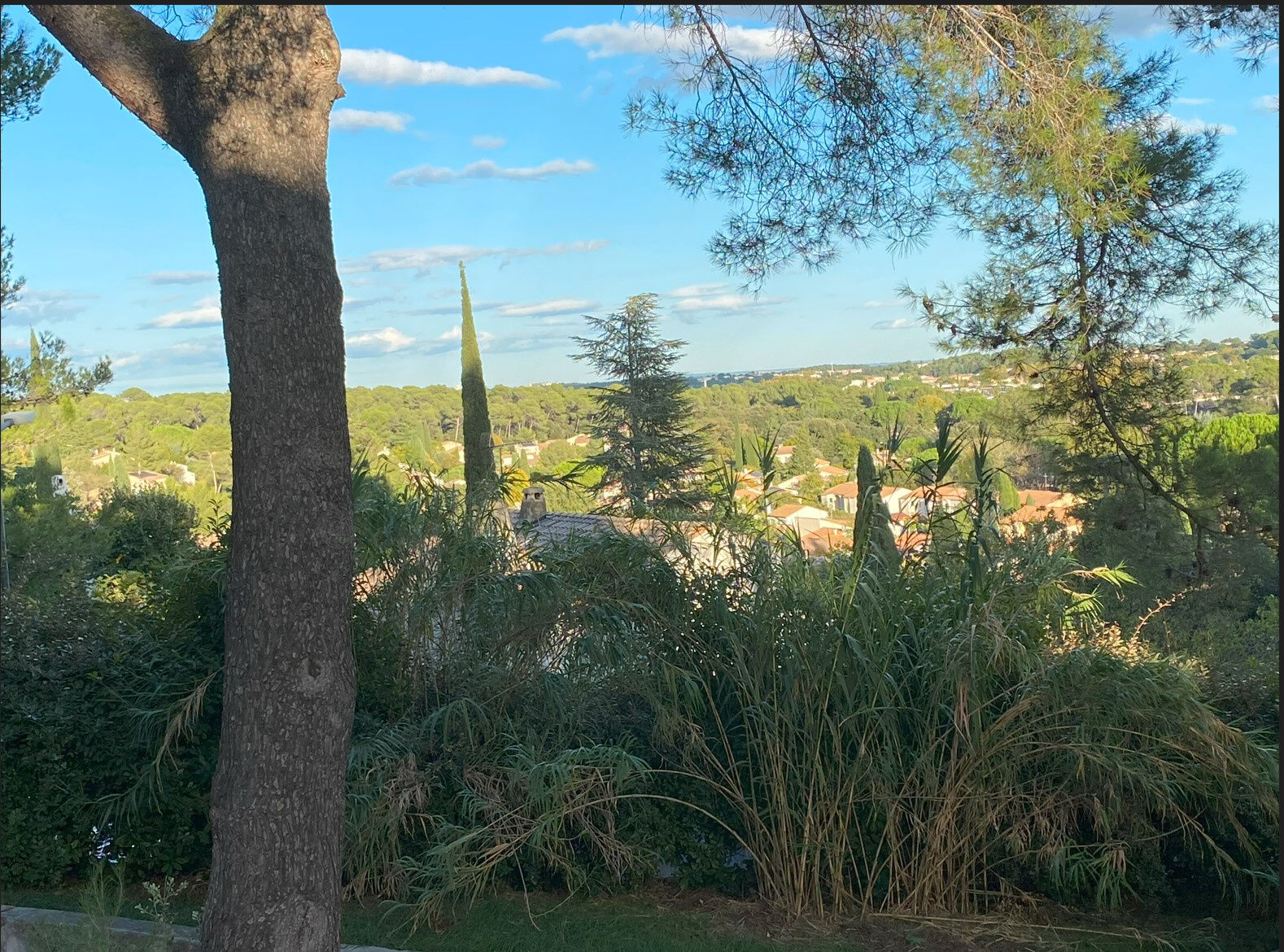 Terrain  à vendre Clapiers 34830