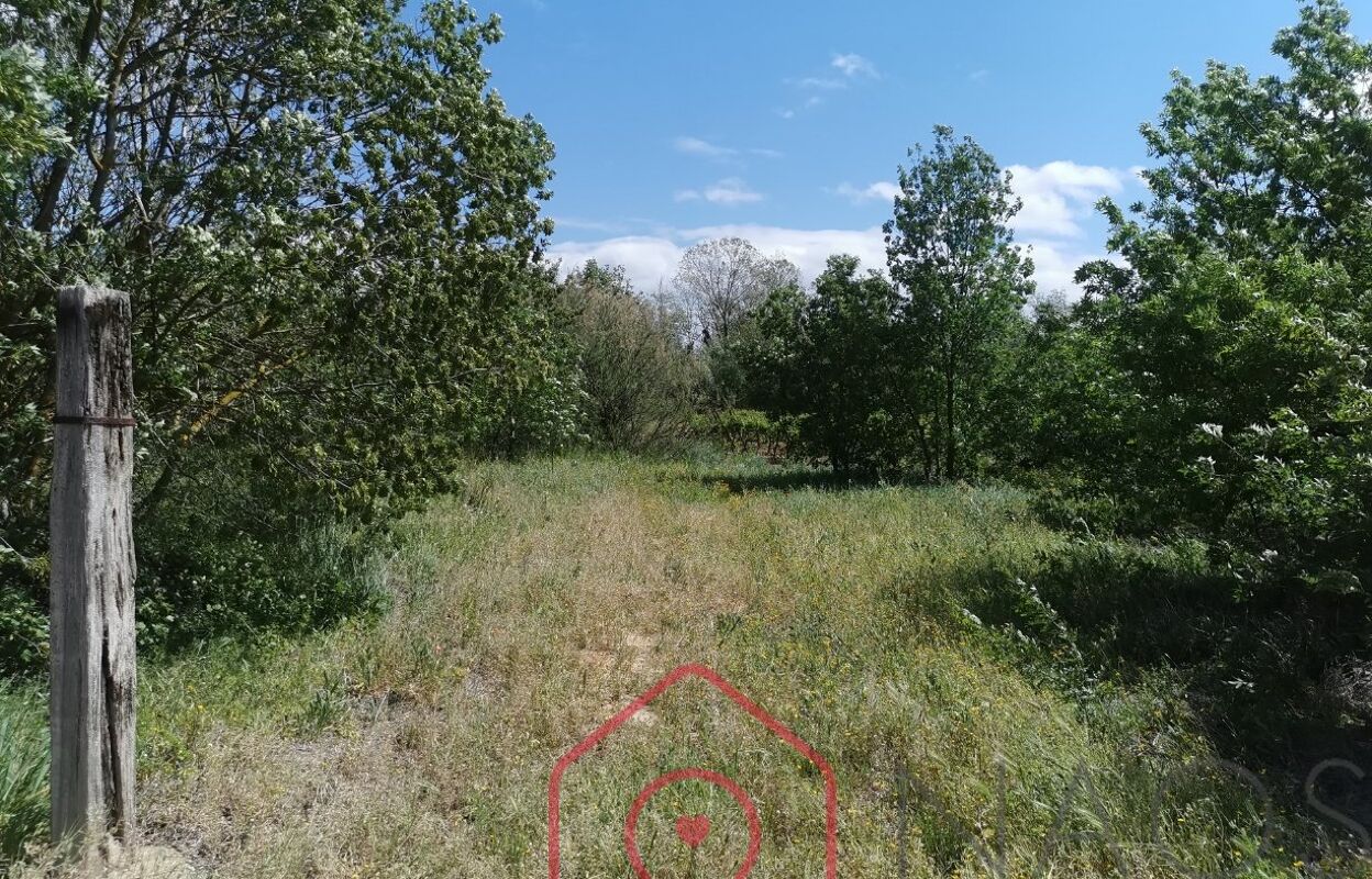 terrain  pièces 2115 m2 à vendre à Narbonne (11100)