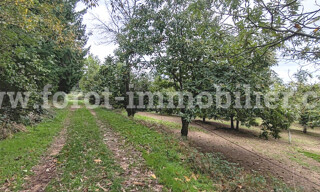 Photo N° 6