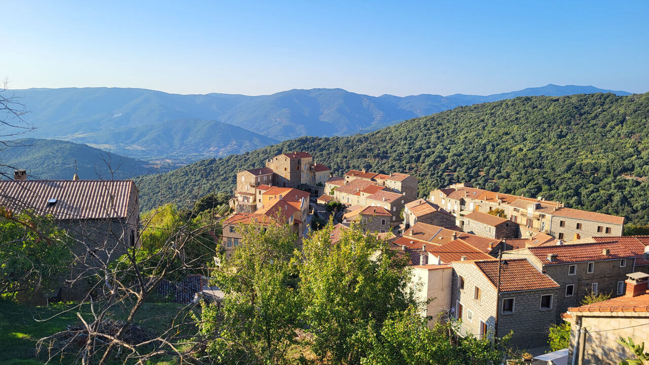 maison 5 pièces 100 m2 à vendre à Sollacaro (20140)