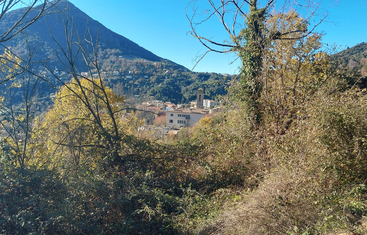 terrain  pièces 2350 m2 à vendre à Vico (20160)