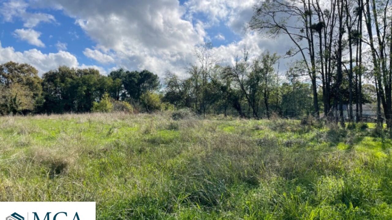 terrain  pièces 1960 m2 à vendre à Portets (33640)