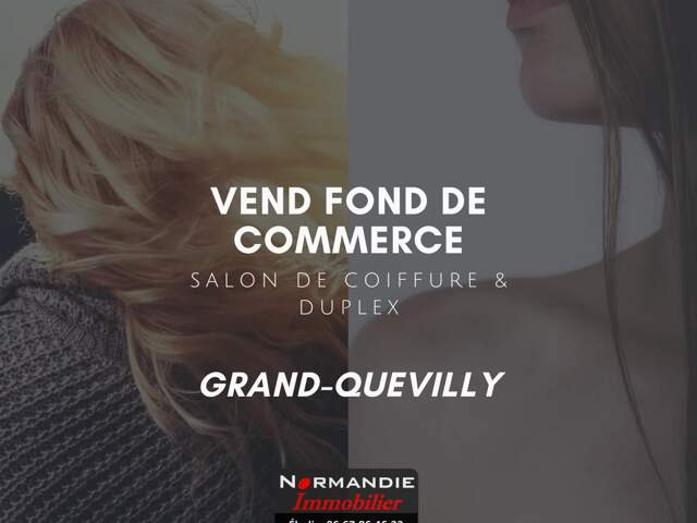 Commerce — photo du bien
