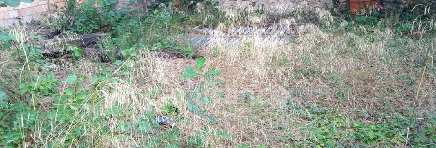 Maison 1 Pièce 127 m² à vendre à Ornaisons (11200)