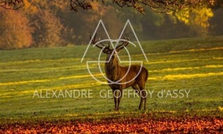 Maison 80 Pièces 6864 m² à vendre à Romorantin-Lanthenay (41200)