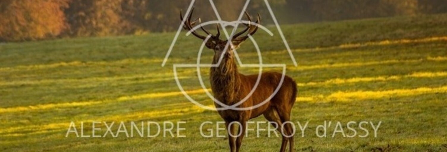 Maison 80 Pièces 6864 m² à vendre à Romorantin-Lanthenay (41200)