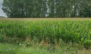 Terrain  780 m² à vendre à Douai (59500)