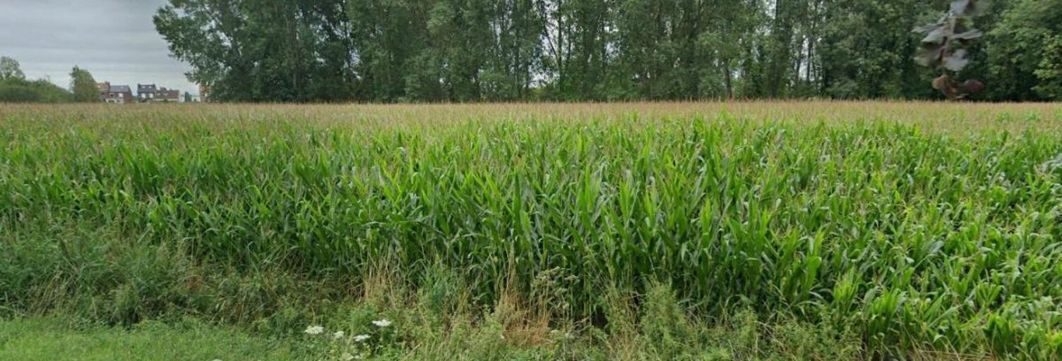 Terrain  780 m² à vendre à Douai (59500)