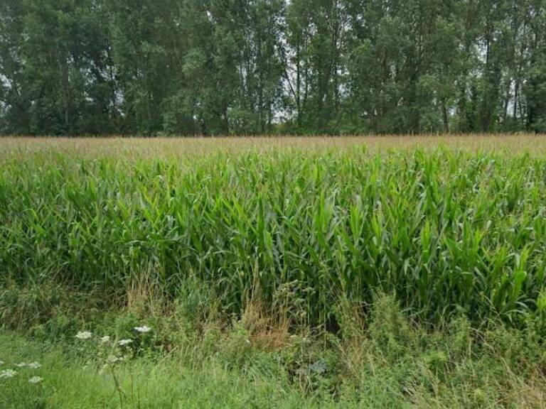 Terrain à bâtir — photo 1