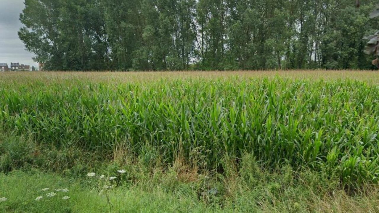 terrain  pièces 780 m2 à vendre à Douai (59500)