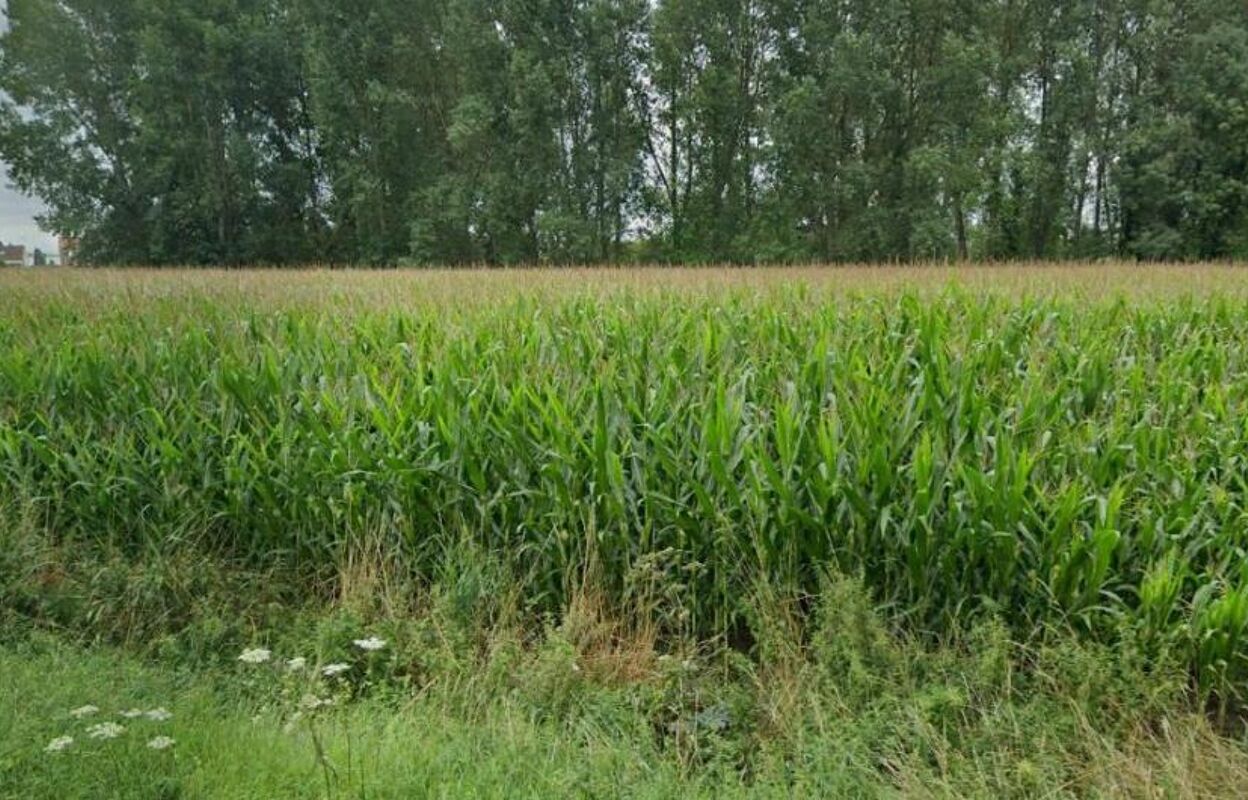 terrain  pièces 780 m2 à vendre à Douai (59500)