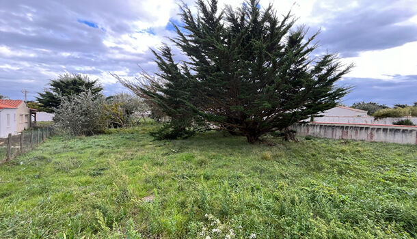 Terrain  à vendre Saint-Denis-d'Oléron 17650