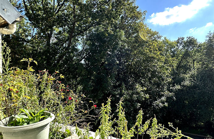 A vendre DUPLEX de 4 pièces sur le plateau de SACLAY — photo 2