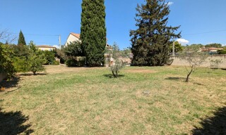 Photo N° 4