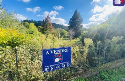 vente maison 98 500 € à proximité de La Tour-du-Crieu (09100)