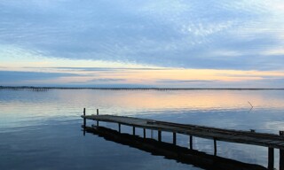 Photo N° 6