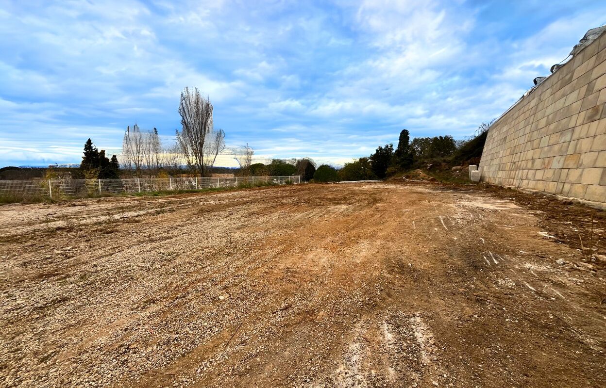 terrain  pièces 1725 m2 à vendre à Saint-Thibéry (34630)