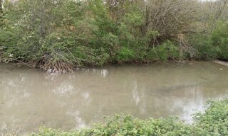 Photo N° 3