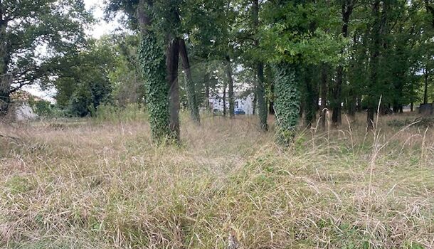 Terrain  à vendre Médis 17600