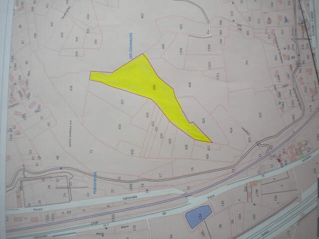 Terrain boisé — photo du bien