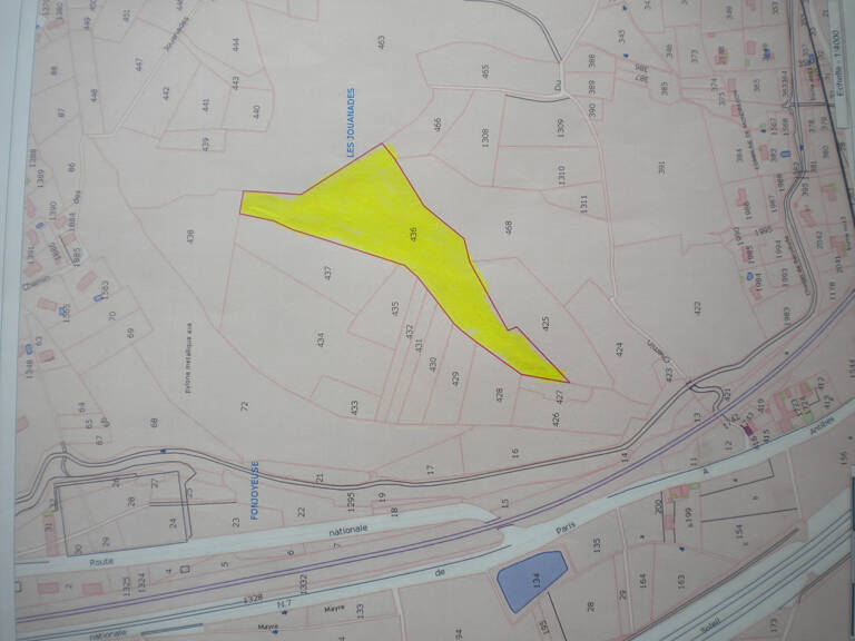 Terrain boisé — photo 1