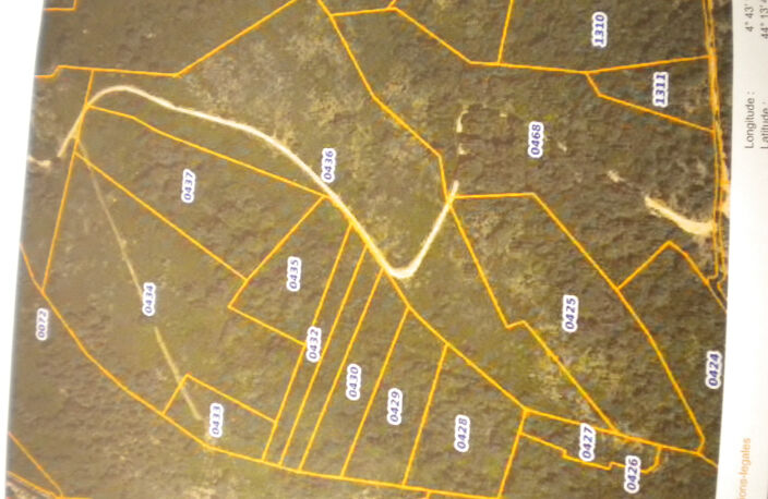 Terrain boisé — photo 2