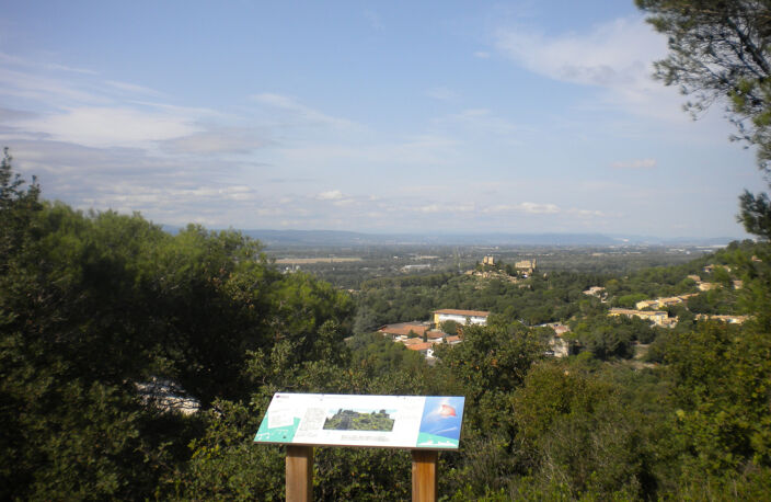 TERRAIN DE LOISIR à MONDRAGON — photo 3
