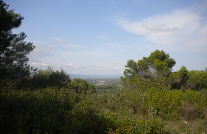 TERRAIN DE LOISIR à MONDRAGON — photo 4