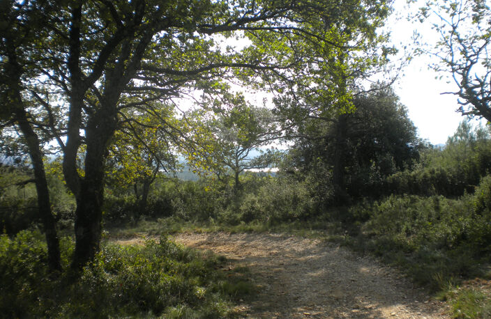 TERRAIN DE LOISIR à MONDRAGON — photo 5