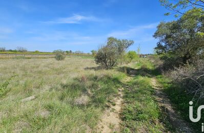 terrain  pièces 6541 m2 à vendre à Bassan (34290)