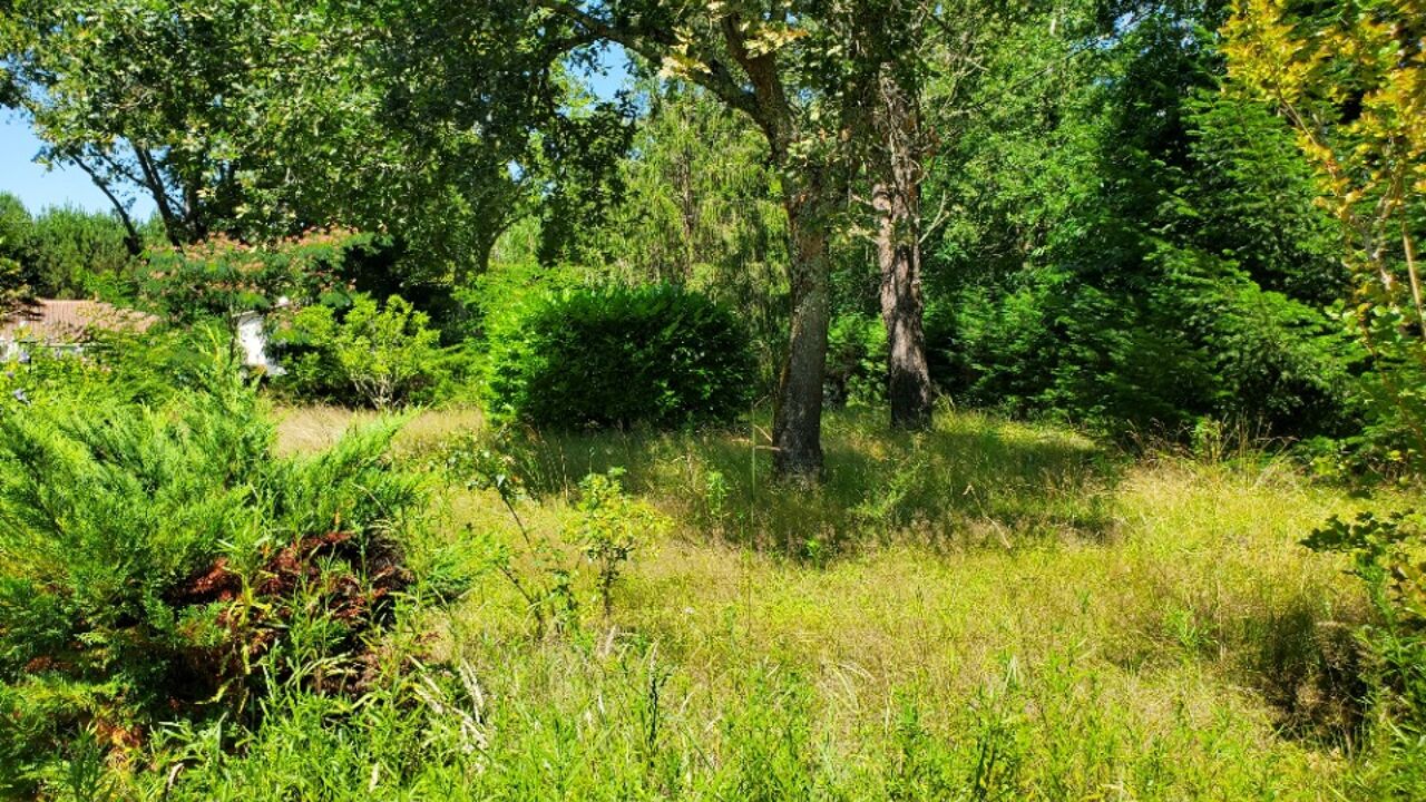 terrain  pièces 360 m2 à vendre à Belin-Béliet (33830)