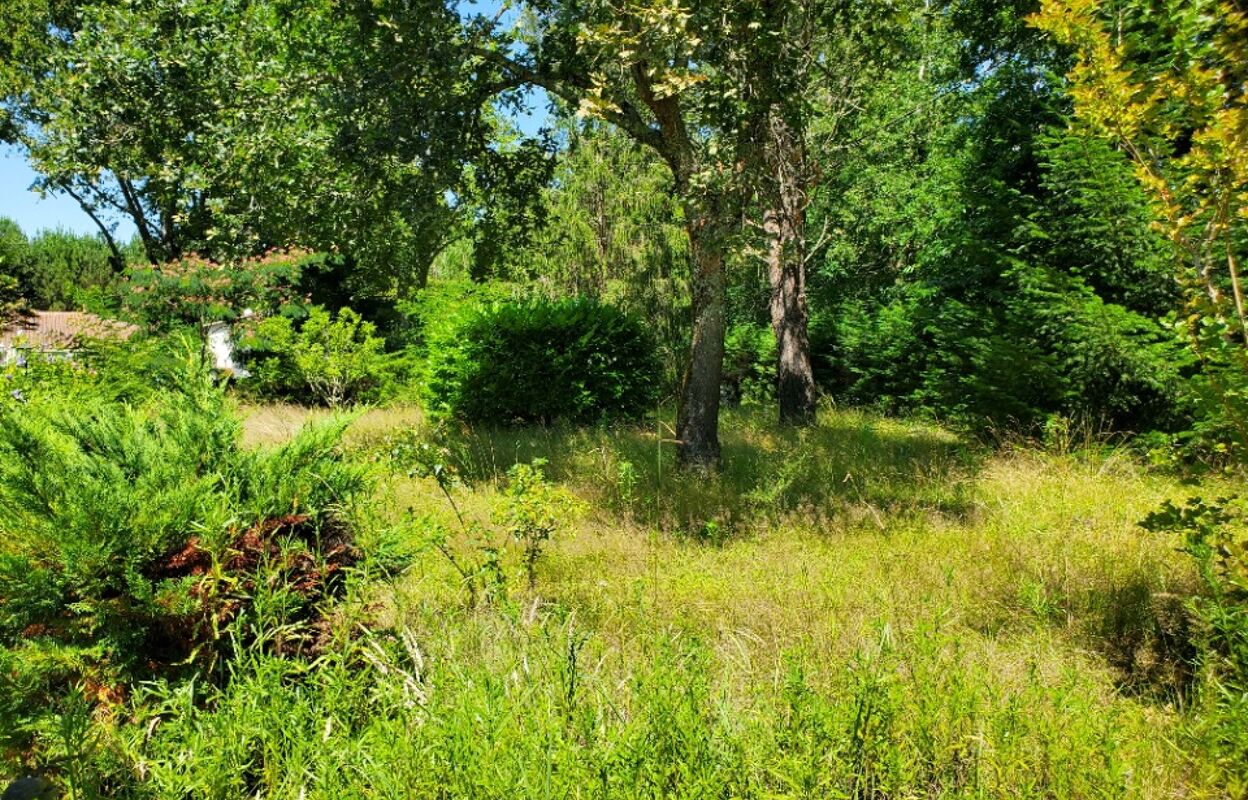 terrain  pièces 360 m2 à vendre à Belin-Béliet (33830)