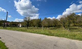 Photo N° 4
