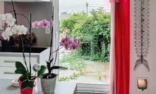 Photo N° 2