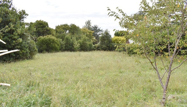 Terrain  à vendre Brée-les-Bains (La) 17840