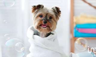 Commerce  65 m² à vendre à Saint-Ouen-l'Aumône (95310)