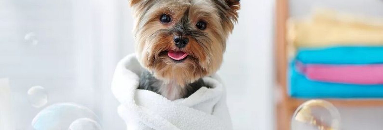 Commerce  65 m² à vendre à Saint-Ouen-l'Aumône (95310)