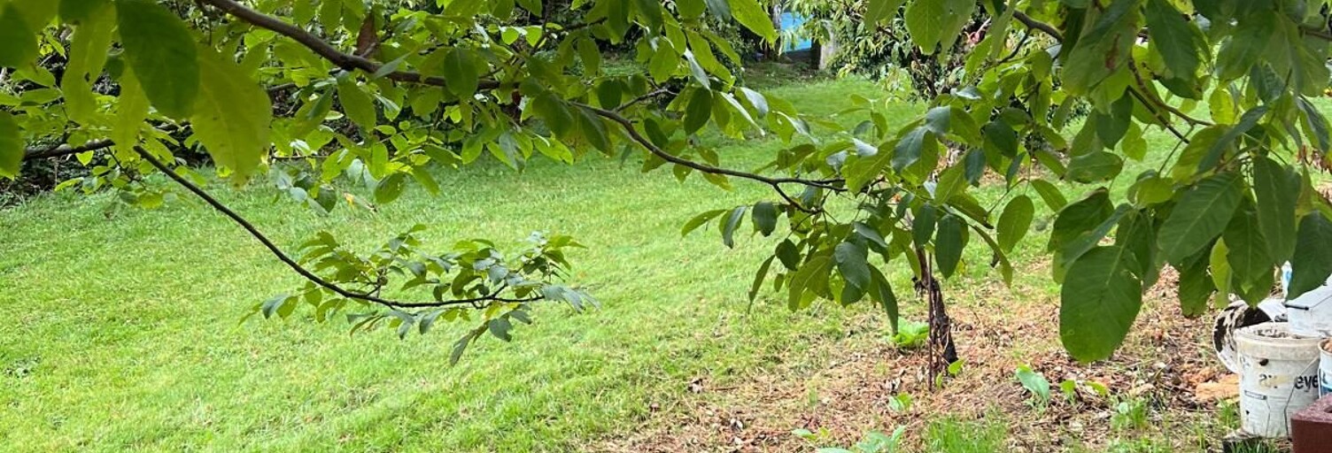 Maison 10 Pièces 450 m² à louer à Saint-Julien-en-Genevois (74160)