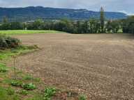 Villa T8 450m² sur 2000 m² de terrain — photo 4