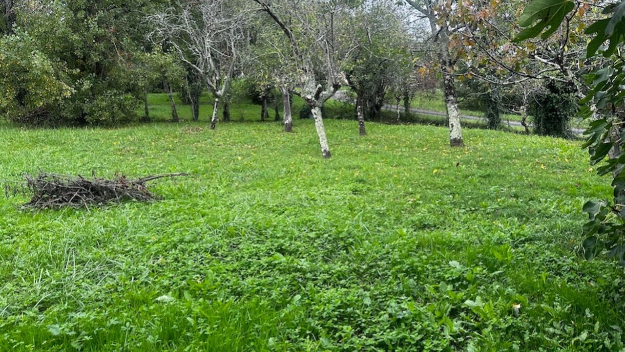 terrain  pièces 1000 m2 à vendre à Fronsac (33126)