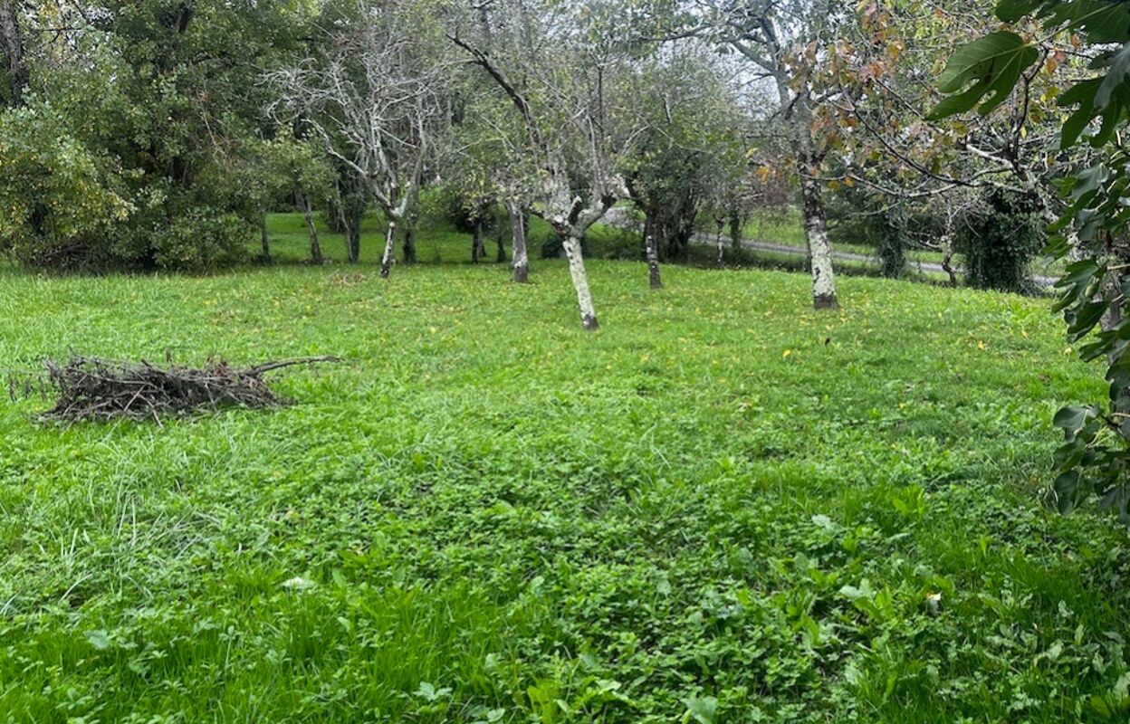 terrain  pièces 1000 m2 à vendre à Fronsac (33126)