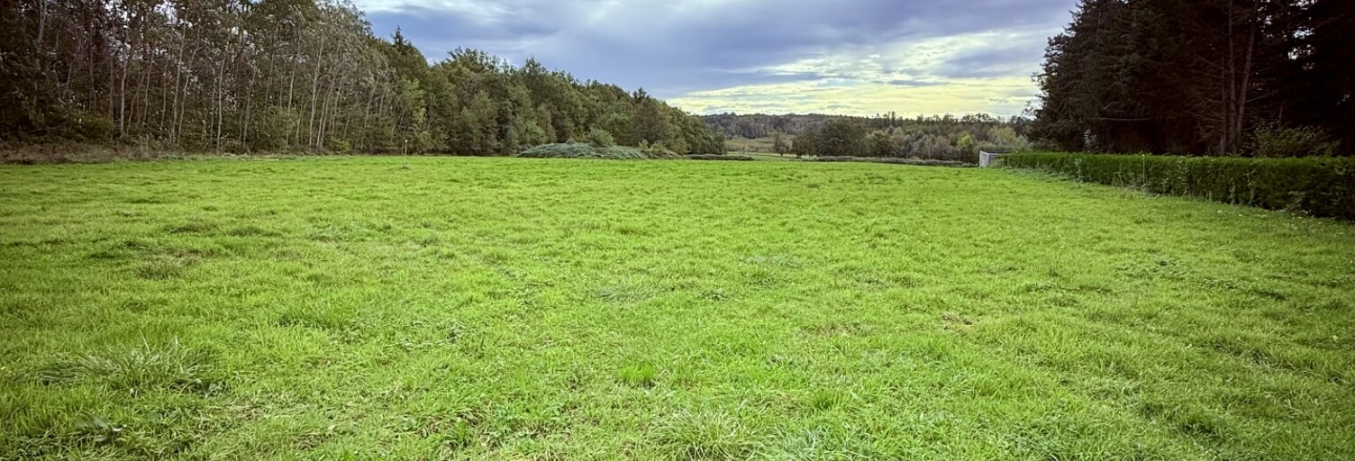 Terrain  2000 m² à vendre à Charbuy (89113)