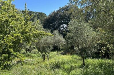 terrain 500 m2 à construire à Besse-sur-Issole (83890)