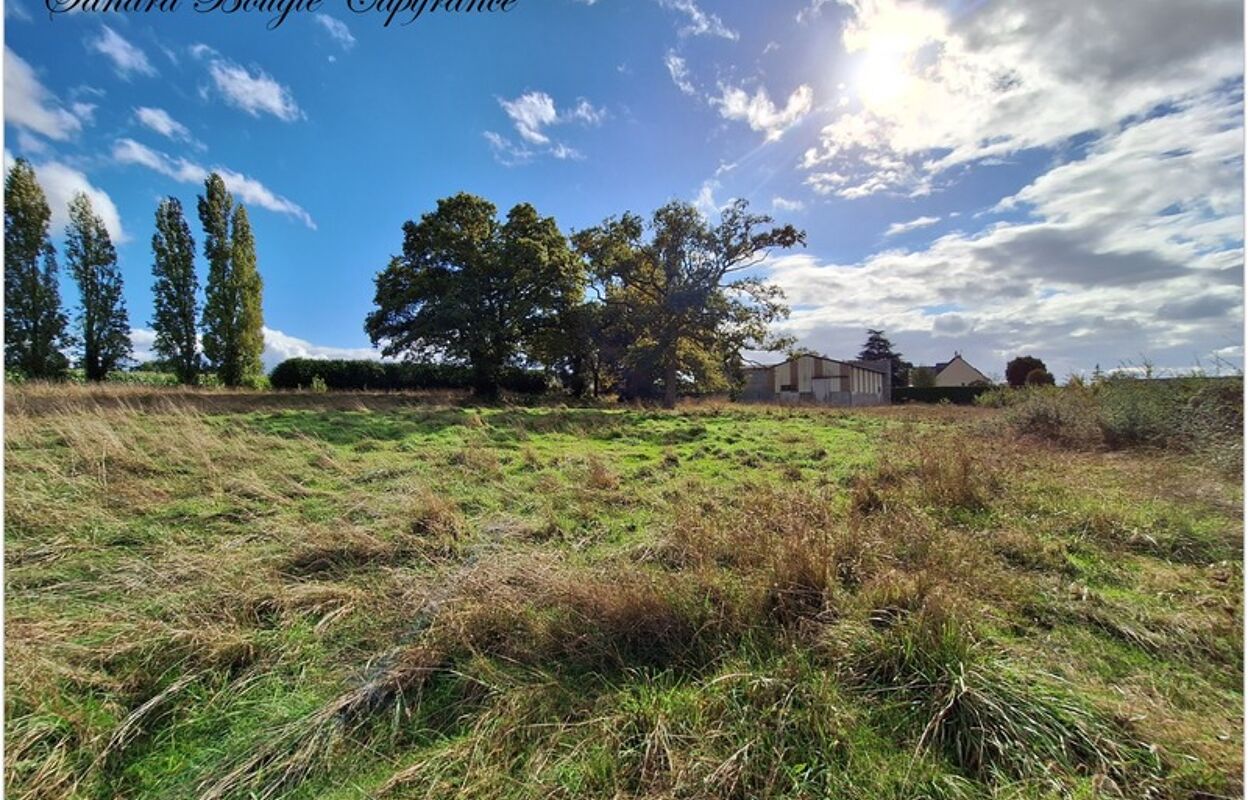 terrain  pièces 7059 m2 à vendre à Chatres-la-Foret (53600)